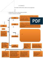 Actividad Cuadro Sipnotico