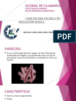 Shigelosis