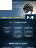 Areas y Ramas de La Psicologia