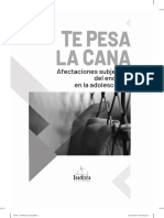 Te Pesa La Cana. Afectaciones Subjetivas PDF