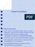 9. curs Bacili Gram poz sporulati partea a doua (si nesporulati)_24.04.2018