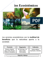 Presentacion - Servicios Ecosistemicos
