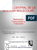 Replicación, Transcripción, Traducción PDF