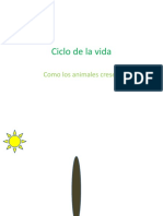 Ciclo de La Vidajj