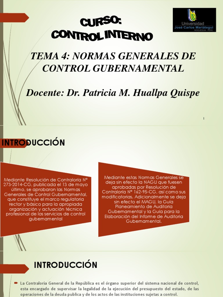 Normas Generales de Control Gubernamental | PDF | Calidad (comercial ...