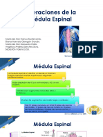 Alteraciones de La Medula Espinal