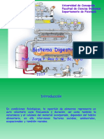 Sistema Digestivo: Prof. Jorge P. Roa S. M SC, PH D