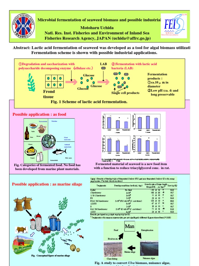 No6 FRI | PDF | Fermentation | Lactic Acid