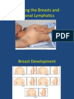 Assessing Breasts & Lymphatics (40