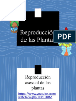 Reproducción de Las Plantas