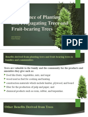 Benefícios das árvores frutíferas na comunidade