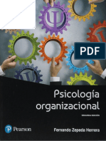 Psicología Organizacional PDF