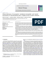 Smart Pain Classification 2010 PDF