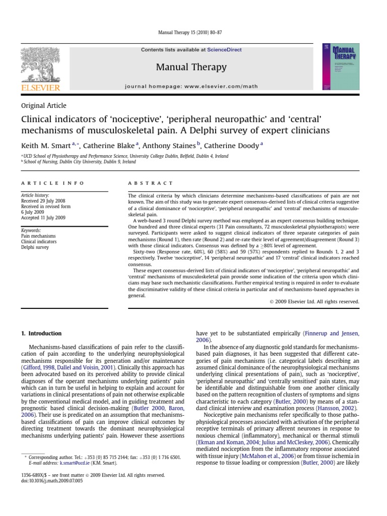 Smart Pain Classification 2010 PDF | PDF | Pain | Peripheral Neuropathy