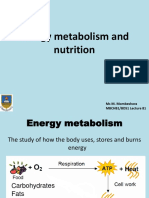 Energy Metabolism and Nutrition