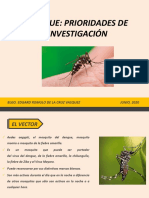 Dengue Rioridades en Investigacion