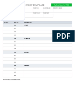 IC IT Project Status Report 10673