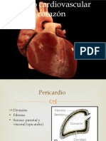 Aparato Cardiovascular