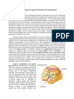 Brain Mechanism in Language Production and Comprehension