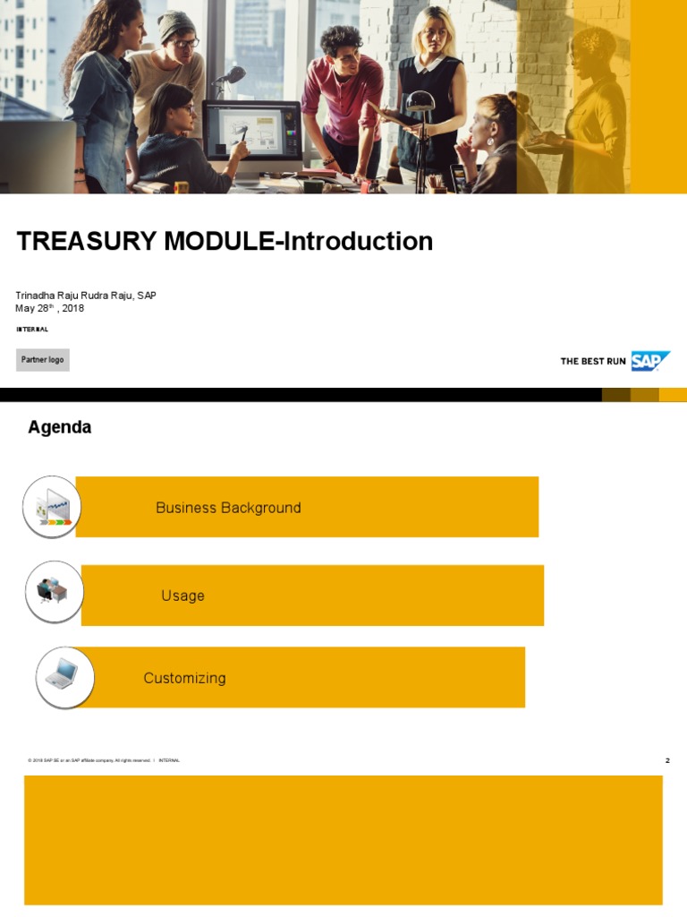 TREASURY MODULE-Introduction: Trinadha Raju Rudra Raju, SAP May 28 ...