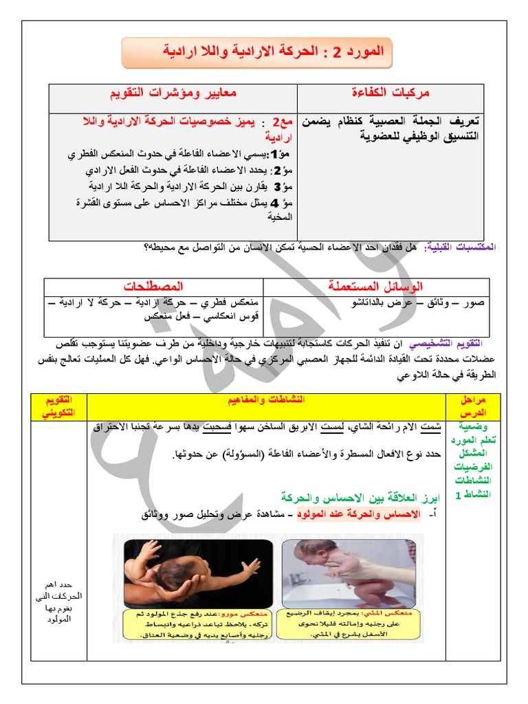 المورد الثاني الحركة الارادية واللاارادية