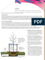 Plantio de Arvores PDF