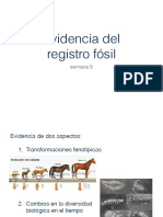 5 EvidenciaRegistroFósil PDF