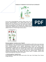 Perkembangbiakan Tumbuhan