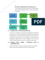 Metodologia Fotobioreactor Batch