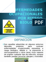 Diapositivas Enf Ocupacionales Por R. B. Viii Smtre