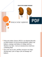 Polycystic Kidney