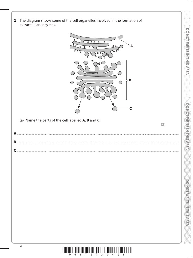 Extracellular Enzymes. 2 The Diagram Shows Some of The Cell Organelles