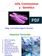 Adn, Cromosomas y Genetica