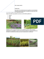 Sistemas Agroforestales