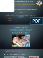 Adaptacion del recien nacido al nacimiento (1)