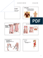 BIO223: Human Anatomy L14B: Muscles of Lower Limb UNC-Asheville, F2008