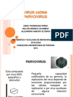 Virusssdnaparvovirus 140410192049 Phpapp01