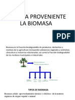 Exposicion de La Biomasa