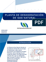 Presentación Del Proceso de Deshidratación de La PG