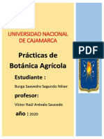 Universidad Nacional de Cajamarca PDF