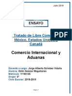 Ensayo Tlcan PDF