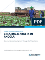 Creating-Markets-in-Angola-Opportunities-for-Development-Through-the-Private-Sector