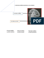 Pregunta 1 e Introduccion