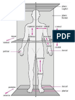 04 PLANOS DE MOVIMIENTO DEL CUERPO HUMANO