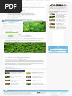 Chá de quebra-pedra_ Para que serve e como fazer - Tua Saúde