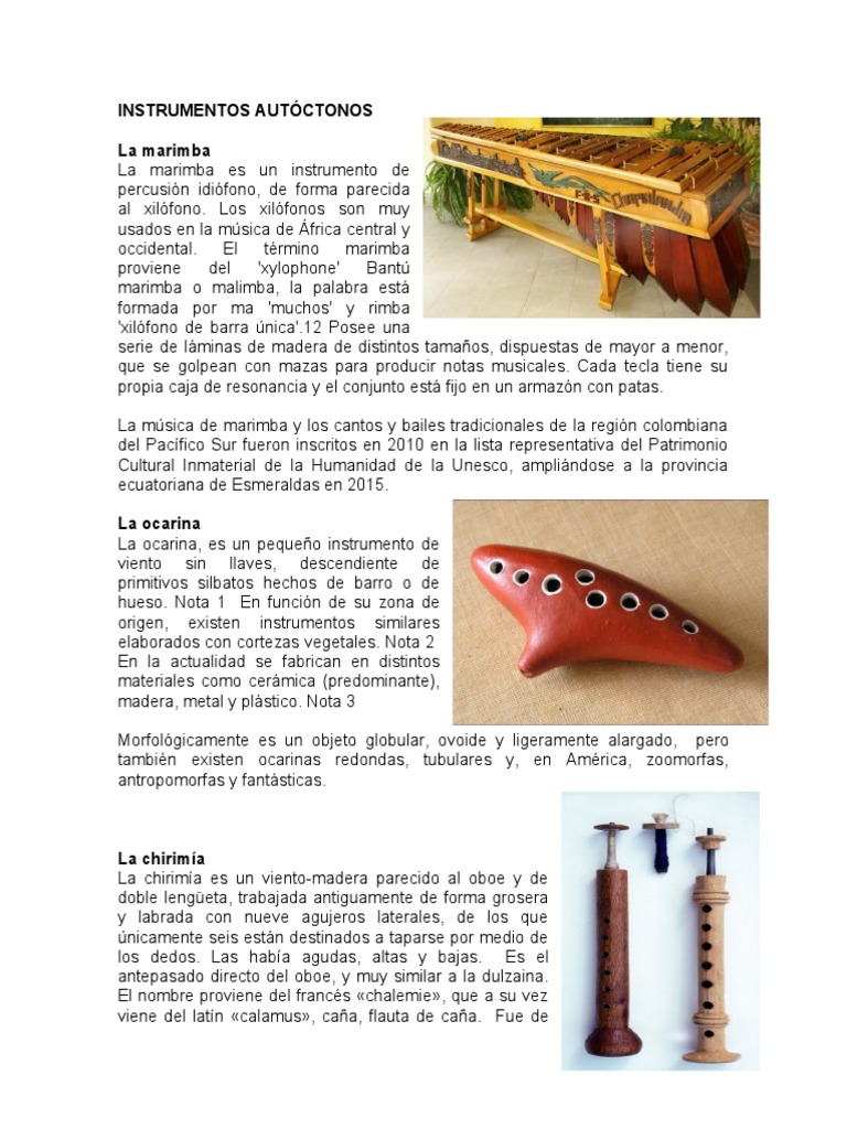 Instrumentos Autoctonos de Guatemala | PDF | Producción | musicales
