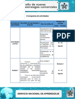 cronograma de actividades