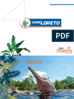 Proyectos Loreto