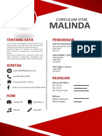 CV Word Merah PDF