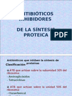 S5-ATB Sintproteica